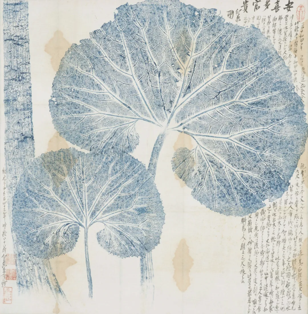 Akita Fuki Inyō-zu (nature print of Akita butterbur leaf), made by Miyakoshi Seinoshin, inscribed by Itō Keisuke, 1882, collection of Higashiyama Zoo and Botanical Gardens, Nagoya