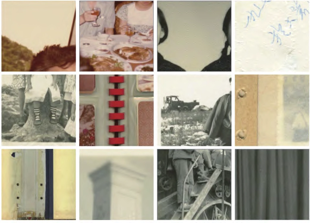 Figure 3. Wei Liu,Album (detail), 2014