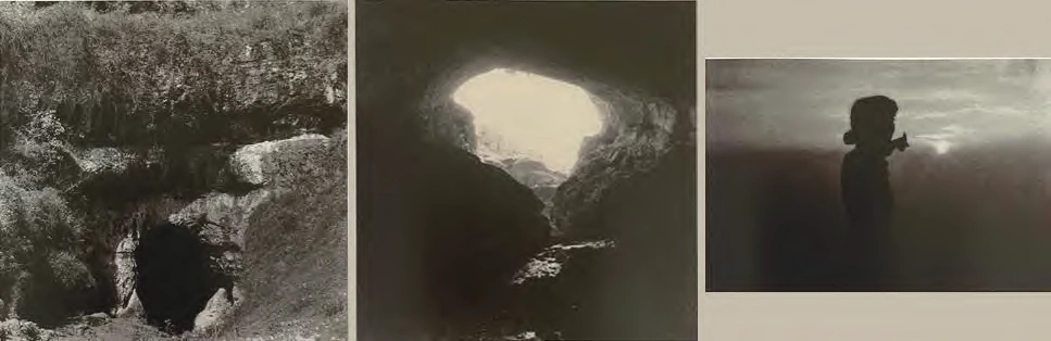 Figure 5. Dongdong Cai,Life History, 2020⑨