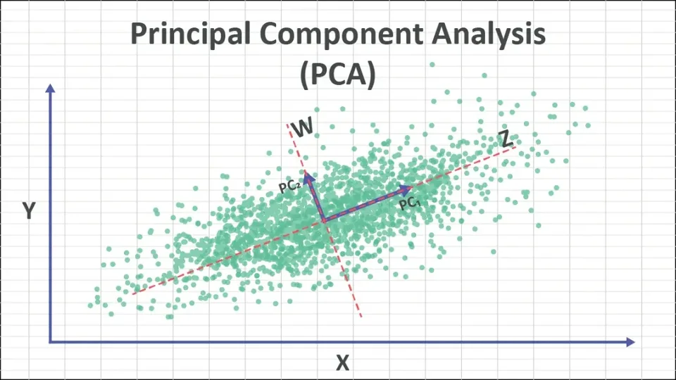 Principal component analysis diagram showing a scatterplot and its first two components