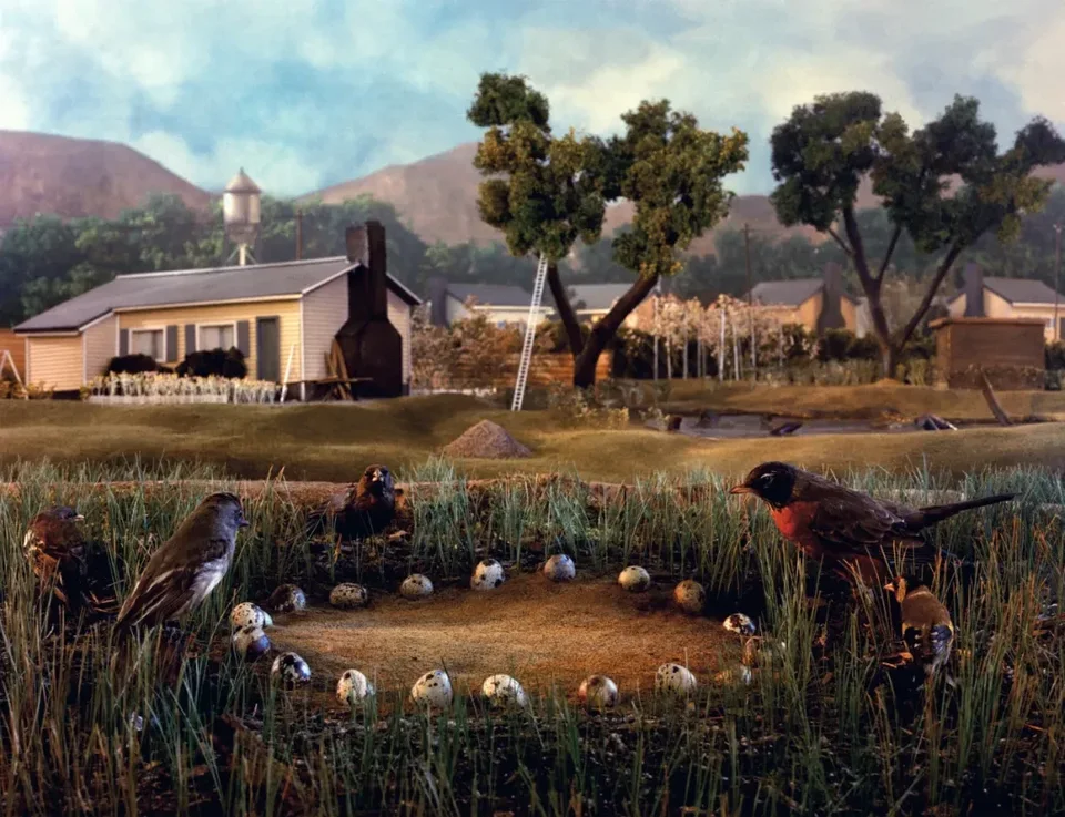Robins and Egg Circle, 1992–1997, from the Natural Wonder series © Gregory Crewdson
