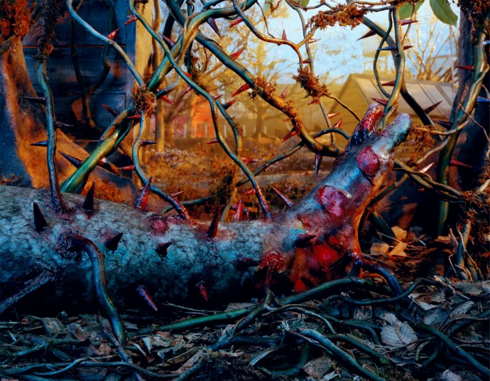 Thorned Leg, 1992–1997, from the Natural Wonder series © Gregory Crewdson