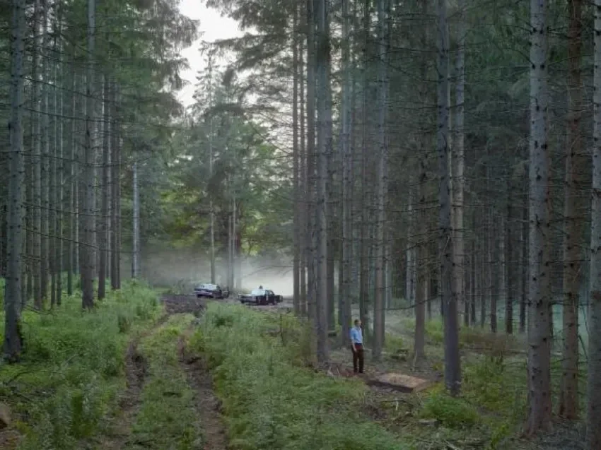 The Mattress, 2014, from the Cathedral of the Pines series © Gregory Crewdson