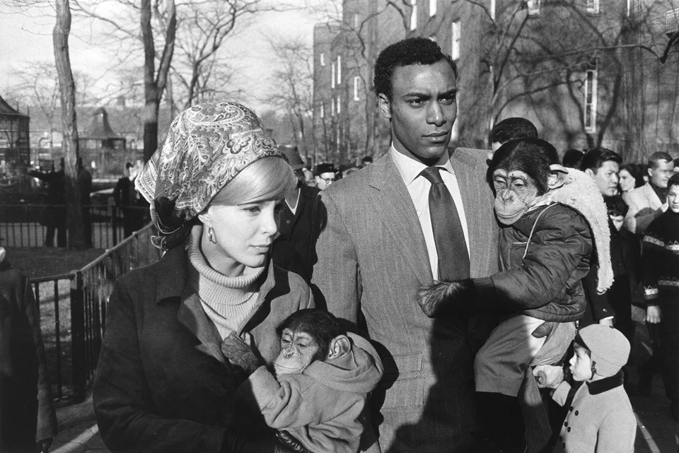 Garry Winogrand, two zookeepers at the zoo.