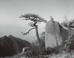 Changjiang Yan and Xiao Xuan'an,Return to the Mountains.