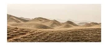 Dan Luo,No Man's Land.