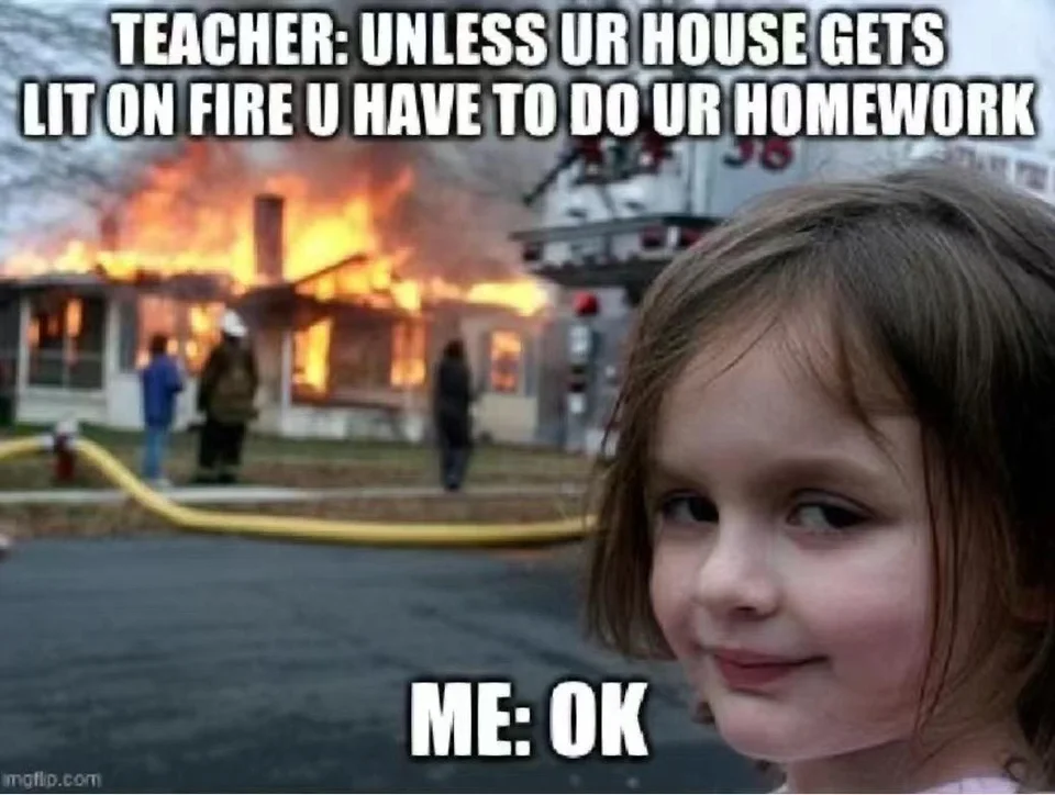 The "Disaster Girl" internet image.