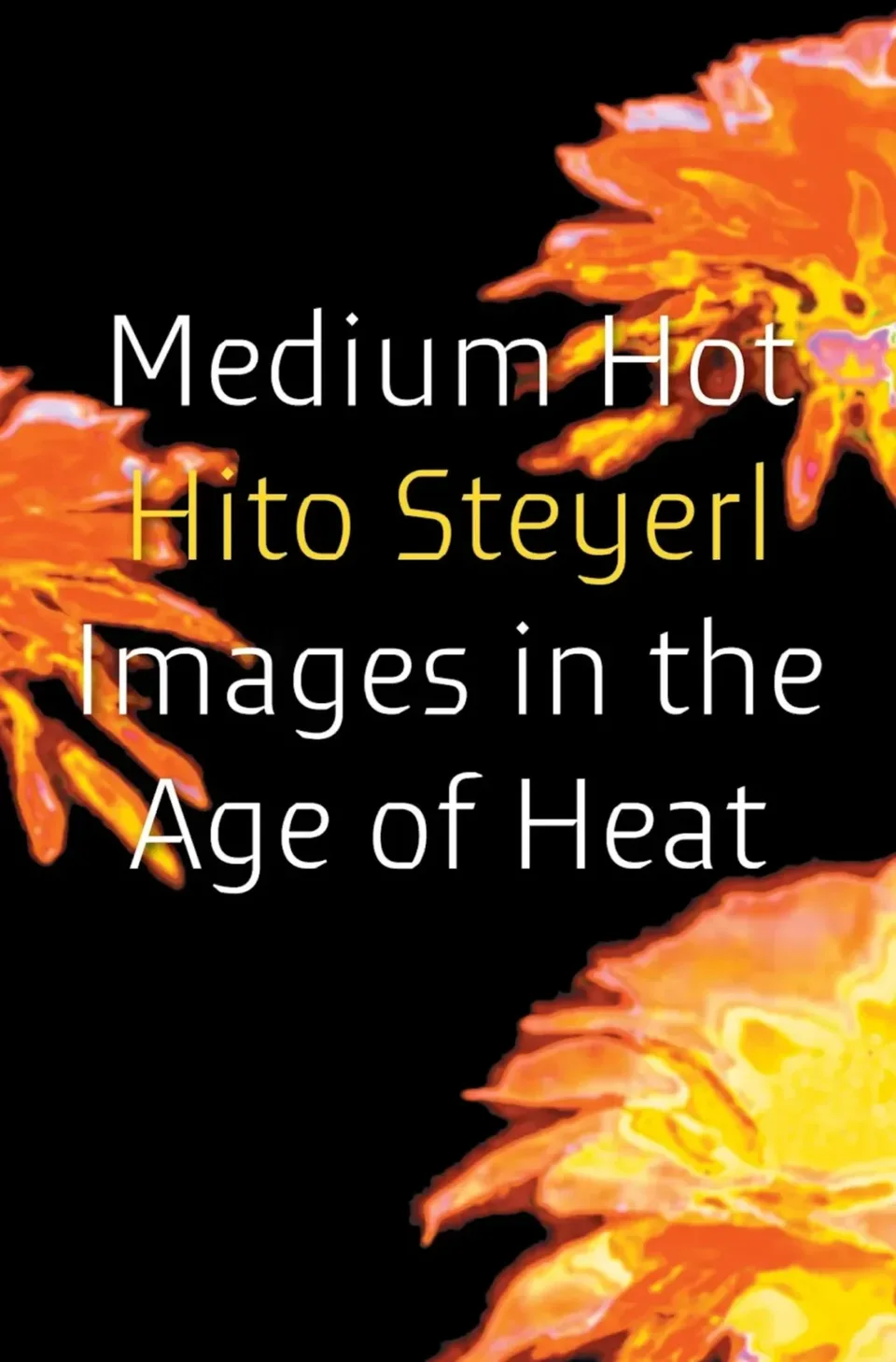 Hito Steyerl,Medium Hot: Images in the Age of Heat, 2025, Verso