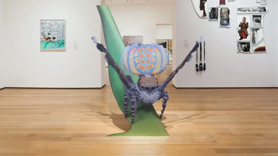 MoMA,New Photography: Ocean of Images, 2015