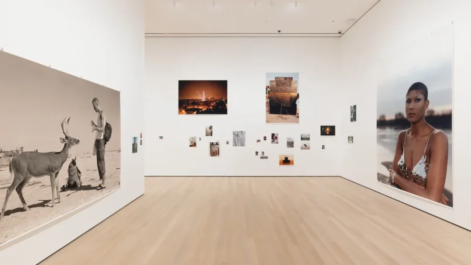 Wolfgang Tillmans: To Look Without Fear, 2022–2023