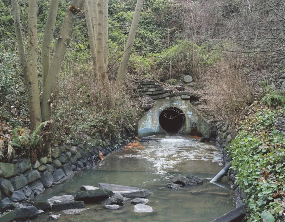 《温哥华静溪,2003年冬》(Still Creek, Vancouver, Winter 2003)
