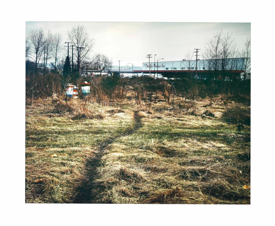 《蜿蜒的小径》(The Crooked Path, 1991)