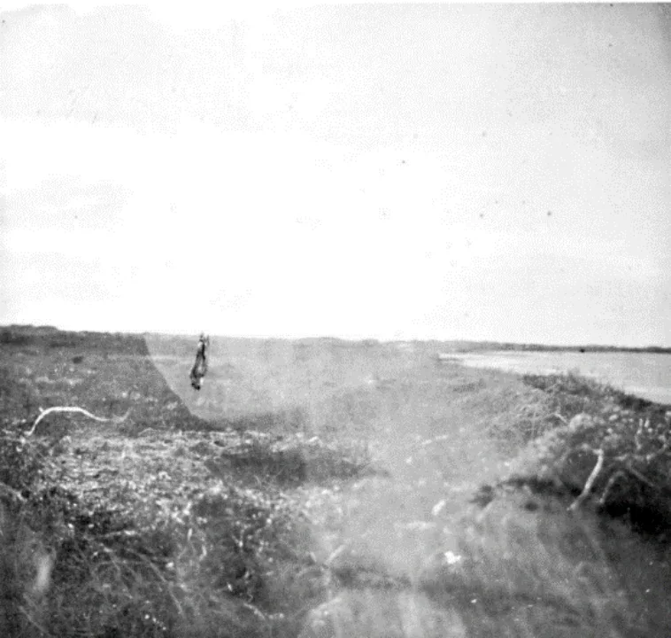 Warburg, photograph from the North American journey, landscape, No. 65